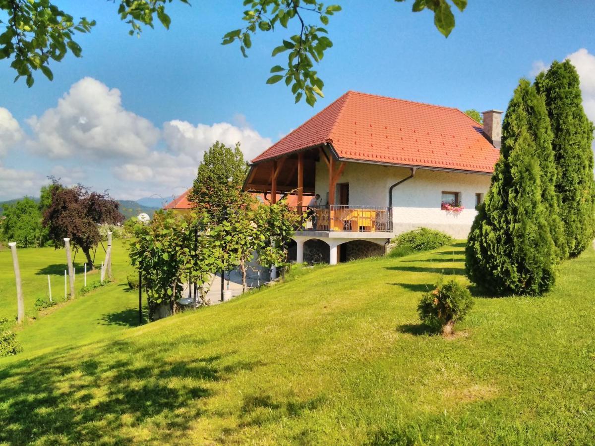 Holiday Home Dobrotin Vojnik Экстерьер фото