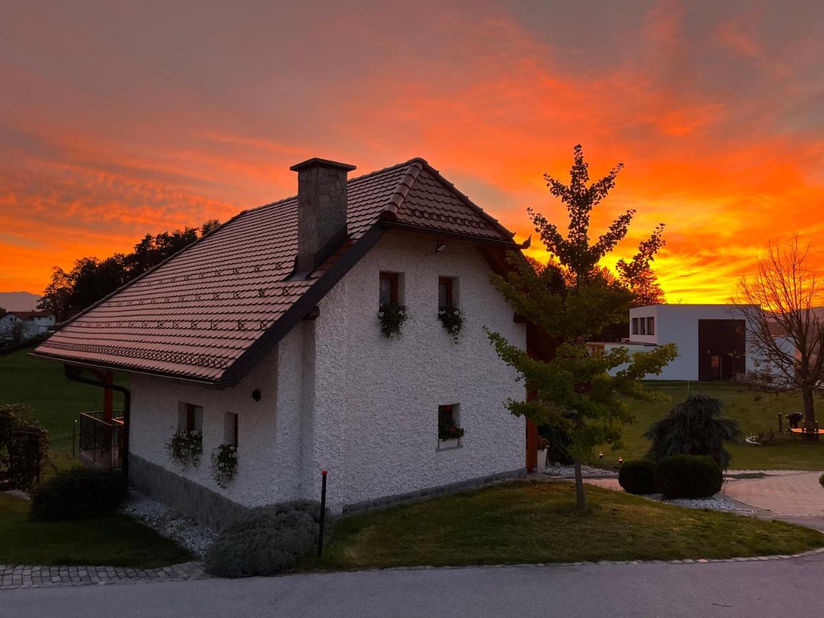Holiday Home Dobrotin Vojnik Экстерьер фото