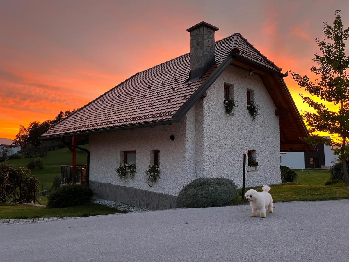 Holiday Home Dobrotin Vojnik Экстерьер фото