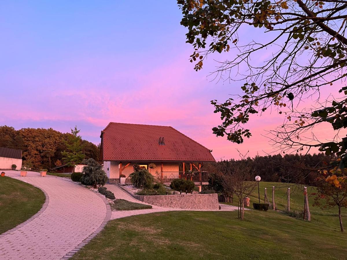 Holiday Home Dobrotin Vojnik Экстерьер фото