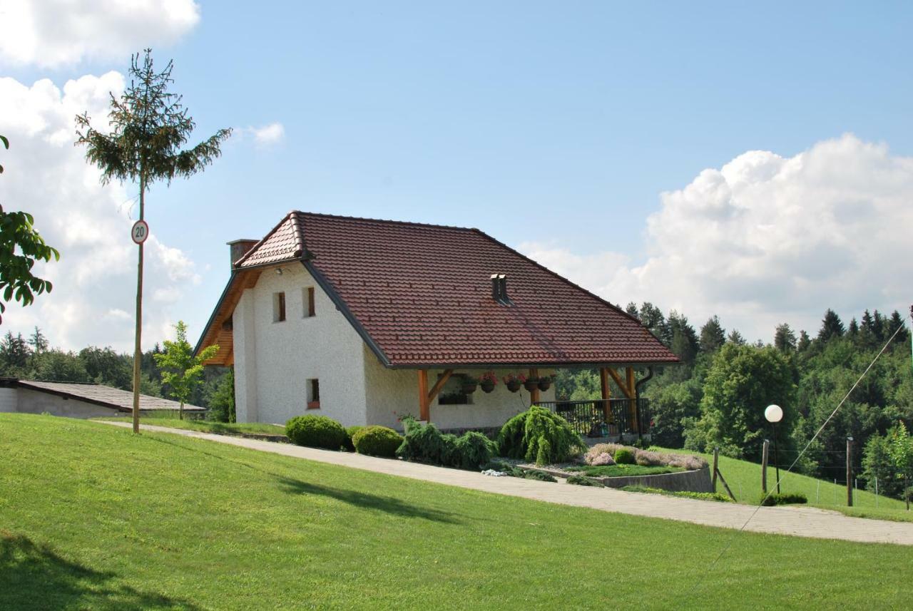 Holiday Home Dobrotin Vojnik Экстерьер фото
