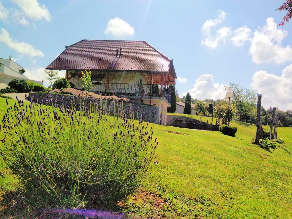 Holiday Home Dobrotin Vojnik Экстерьер фото