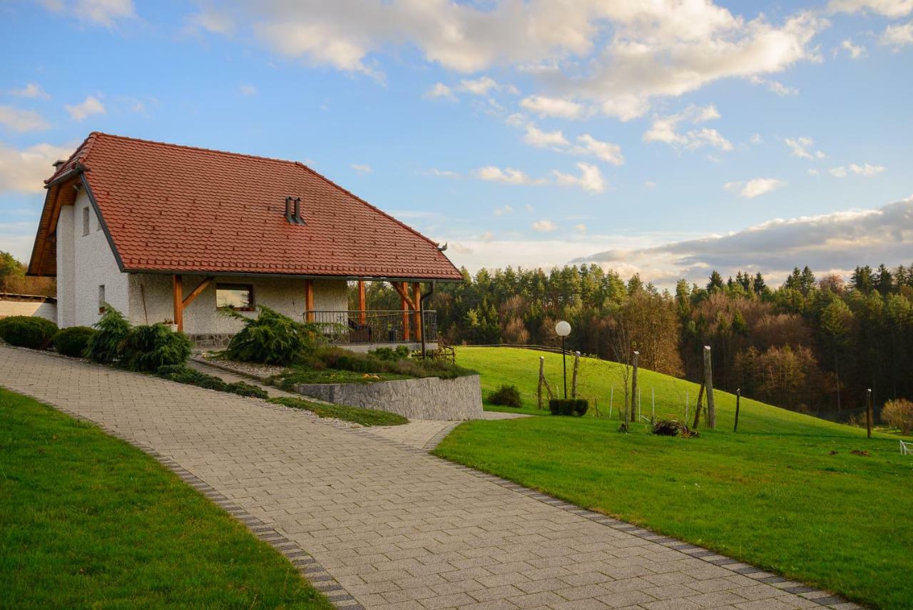 Holiday Home Dobrotin Vojnik Экстерьер фото